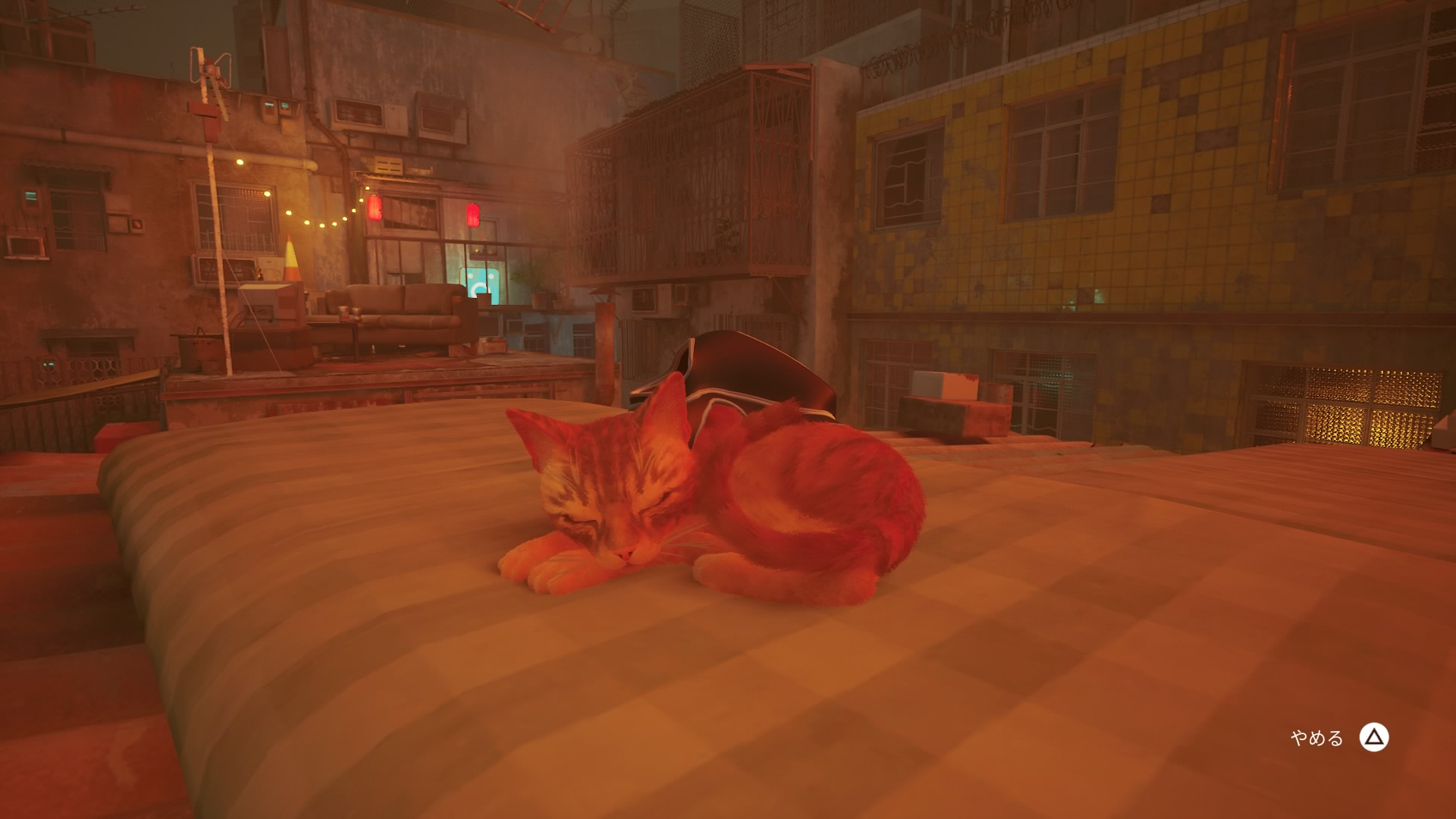 Stray　猫　ゲーム