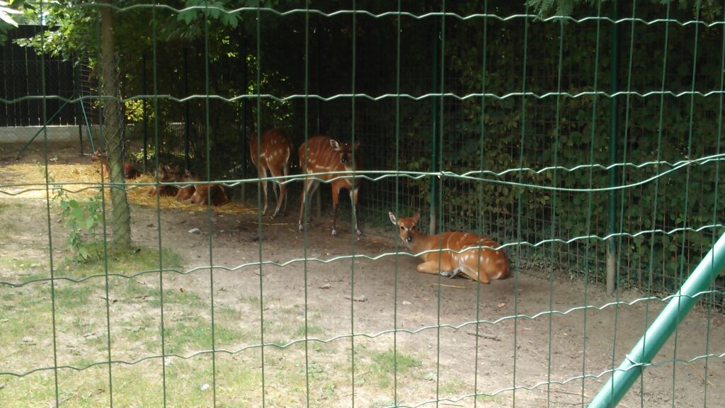 クロアチア
ザグレブ
ザグレブ動物園