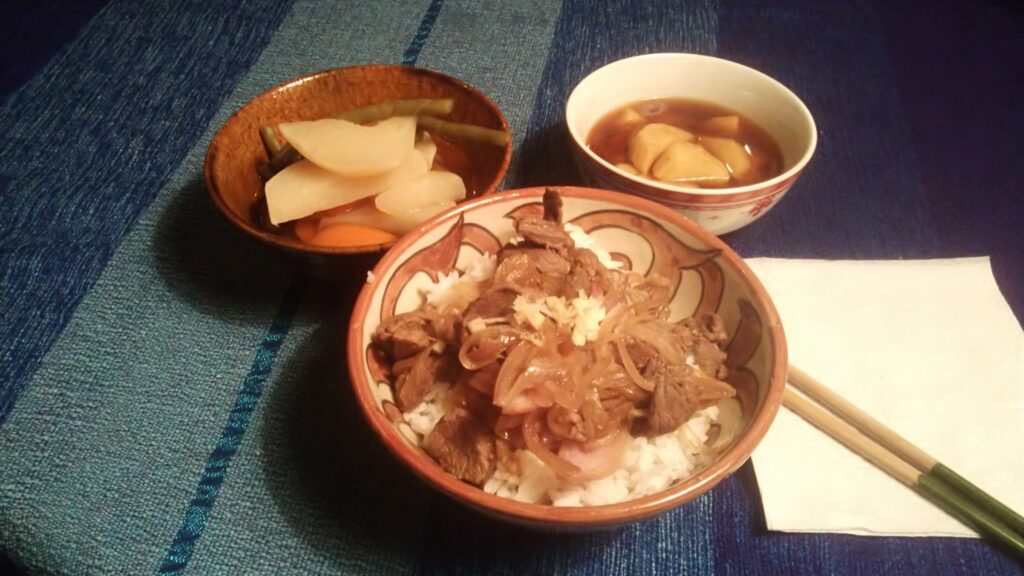 モロッコ
ティネリール
トドラ峡谷
日本食
牛丼