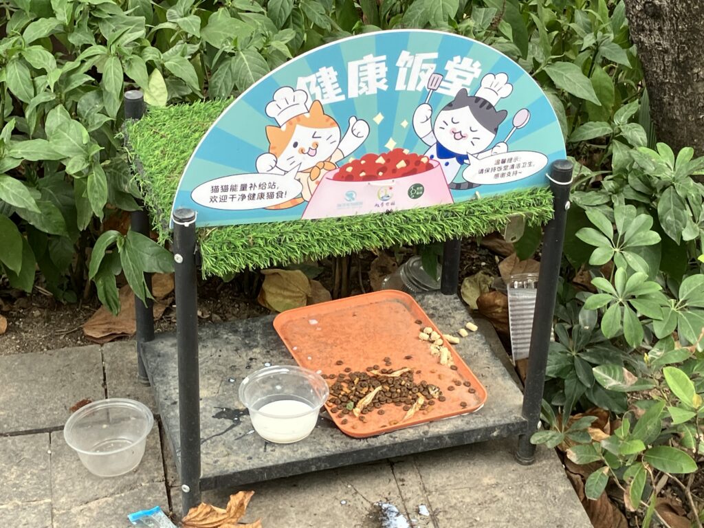 越秀公園
野良猫
餌
健康飯堂
野良ネコ