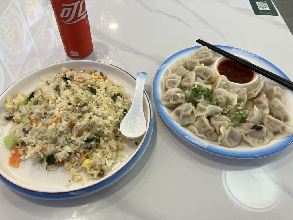 広州
チャーハン
水餃子
夕飯